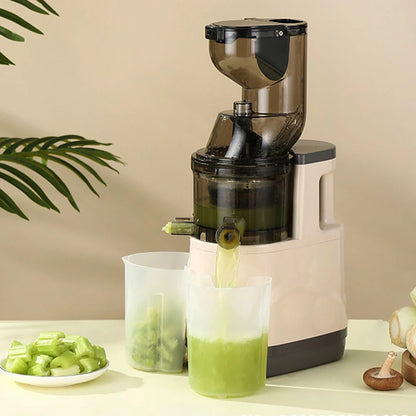 Houselin 500W Slow Cold Press Juicer with 7-Inch Feed Chute