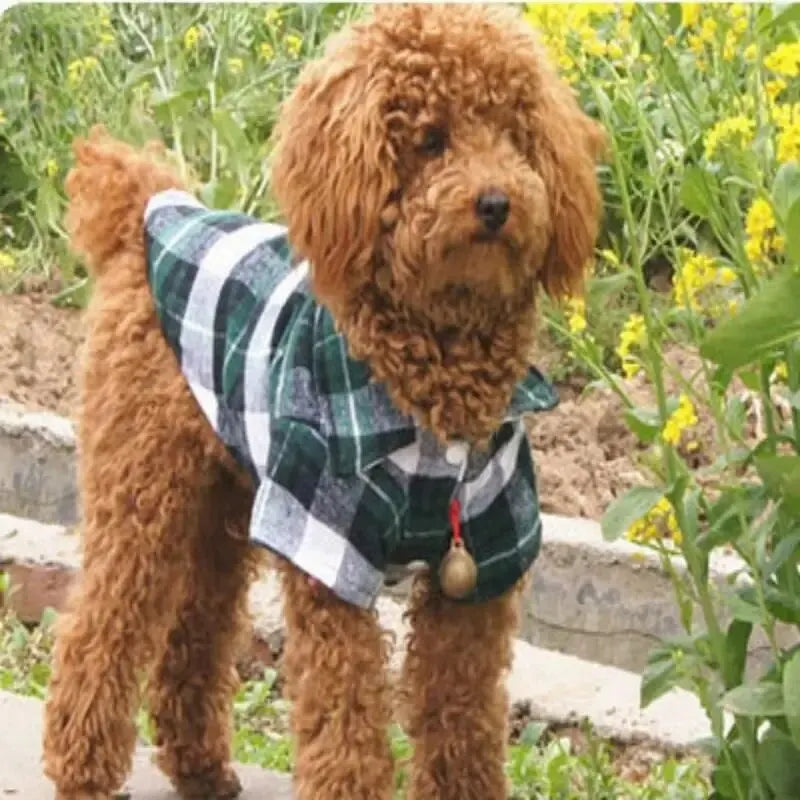 Pet Clothes for Small Dogs and Cats - Plaid Fall and Winter Shirt