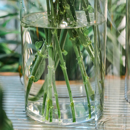 Transparent Cylinder Flower Vase – A Timeless and Elegant Centerpiece