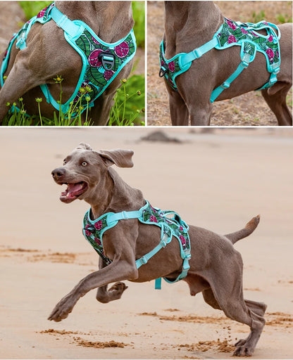 Breathable Reflective Dog Harness – No-Pull Adjustable Safety Vest