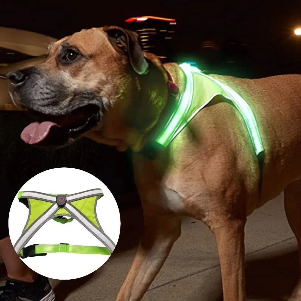 Adjustable LED Light Up Dog Harness Glowing Soft Pet Harness Leash Enhance Visibility Breathable LED Pet Collar