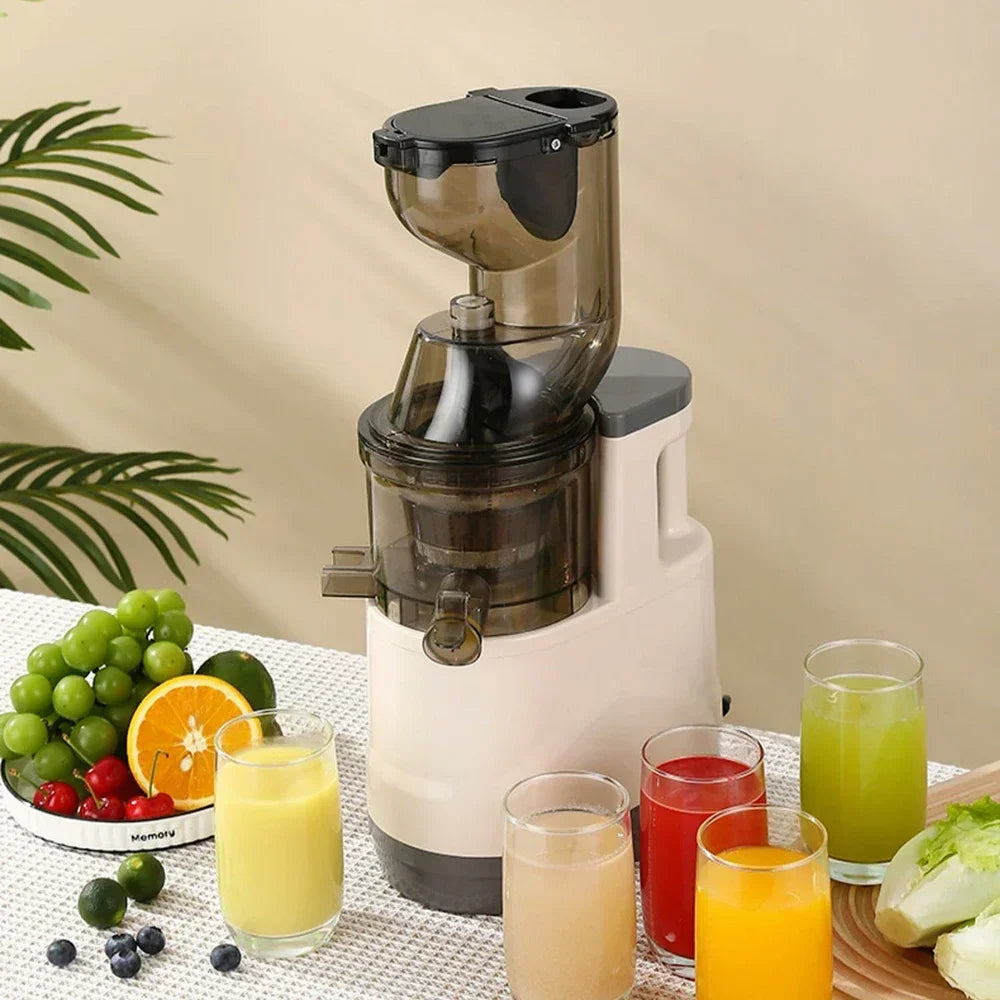 Houselin 500W Slow Cold Press Juicer with 7-Inch Feed Chute