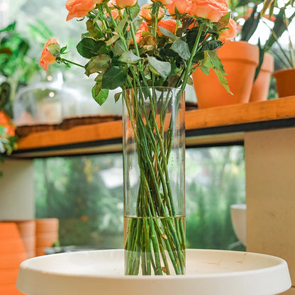 Transparent Cylinder Flower Vase – A Timeless and Elegant Centerpiece