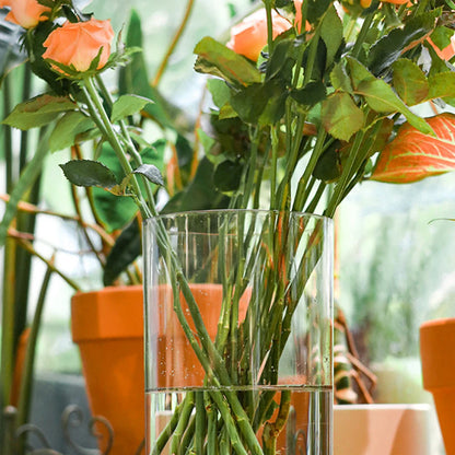 Transparent Cylinder Flower Vase – A Timeless and Elegant Centerpiece