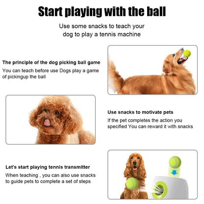 Automatic Ball Launcher for Dogs: Playtime Made Easy!