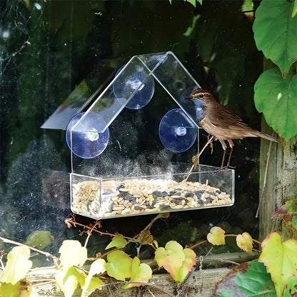 Clear View Window Bird Feeder