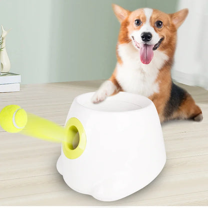 Automatic Ball Launcher for Dogs: Playtime Made Easy!