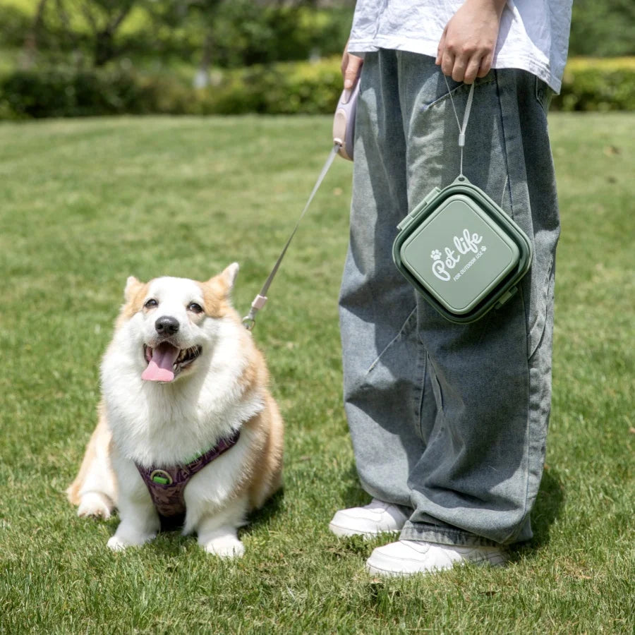 Madden Portable Double-Decker Dog & Cat Travel Bowl