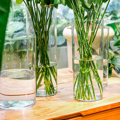 Transparent Cylinder Flower Vase – A Timeless and Elegant Centerpiece